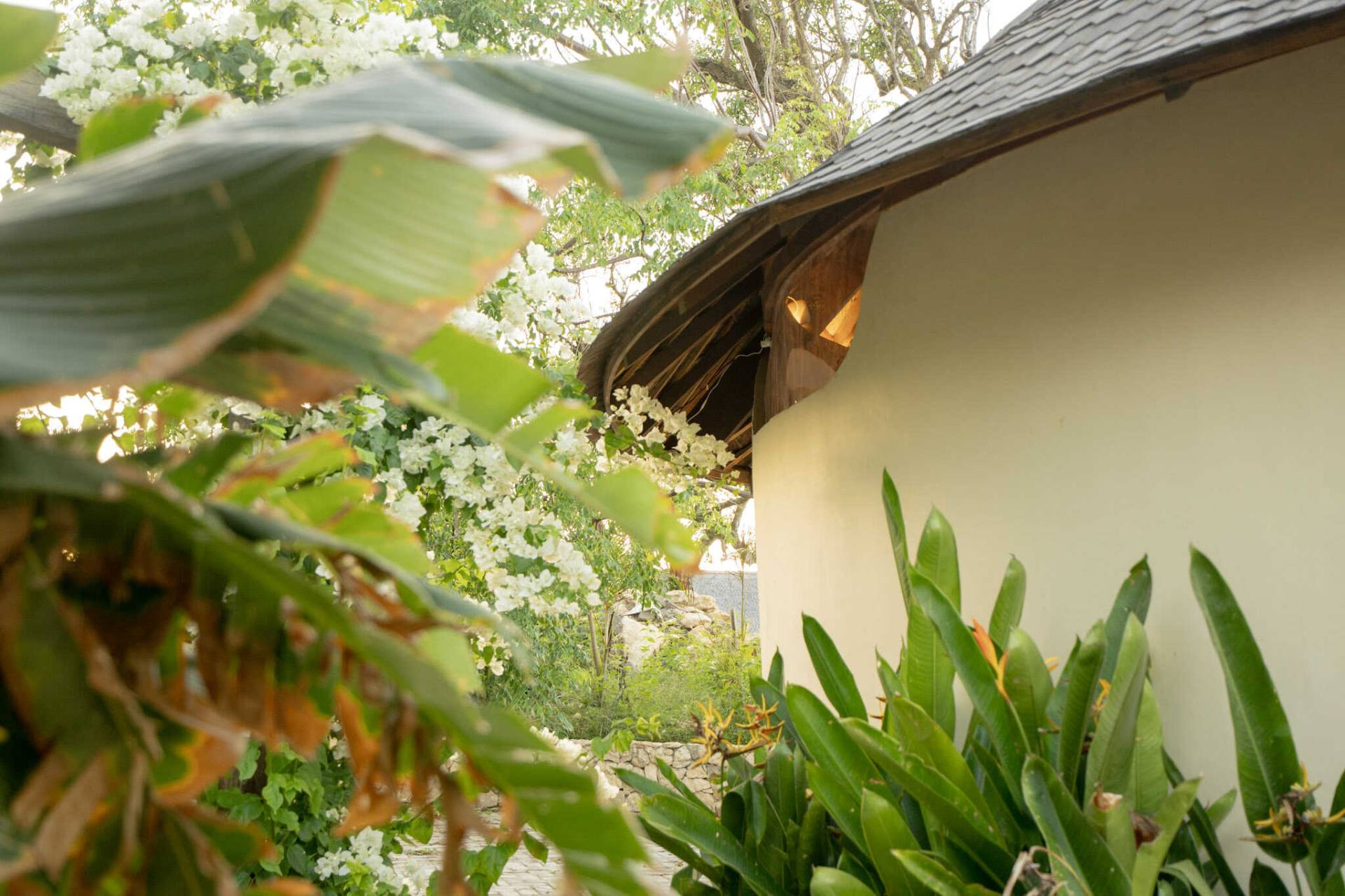 Sunlit bedroom with wooden accents and garden views at Elysian Cove, a relaxing coastal hotel in Sumbawa.